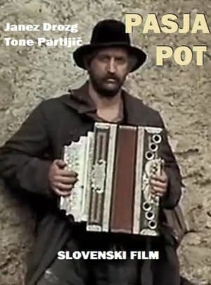 Pasja pot streaming