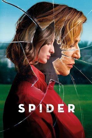 Spider streaming
