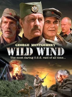Wild Wind streaming