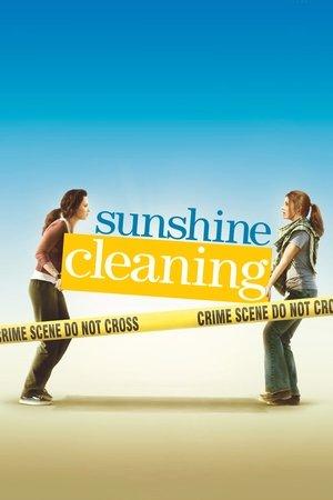 Sunshine Cleaning streaming