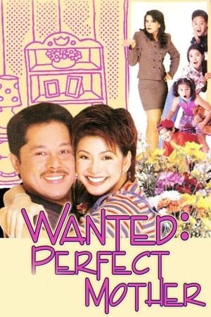 Wanted: Perfect Mother streaming