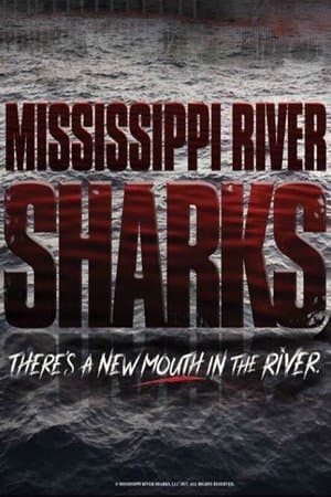 Mississippi River Sharks streaming