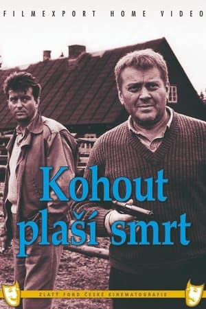 Kohout plaší smrt streaming