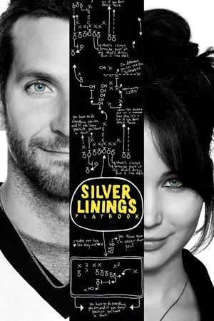 Silver Linings Playbook streaming