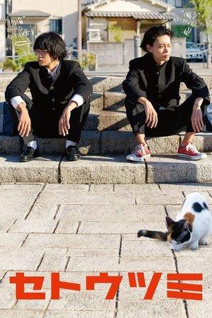 Seto and Utsumi streaming