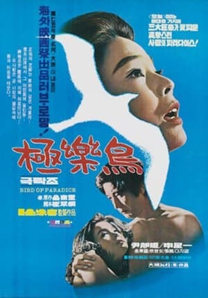 Bird of Paradise streaming