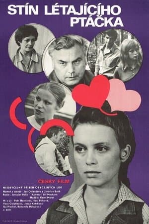Stín létajícího ptáčka streaming