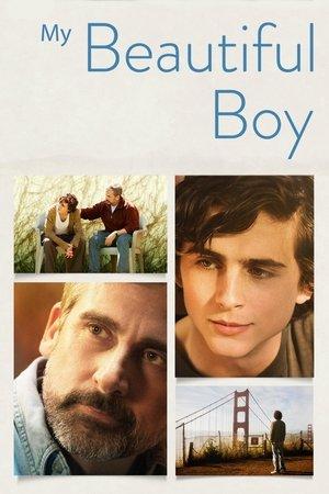 My Beautiful Boy streaming