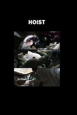 Hoist streaming