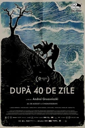 După 40 de zile streaming