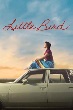 Little Bird streaming