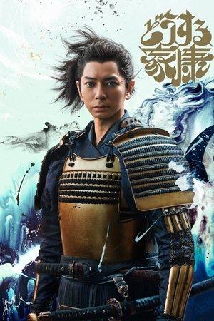どうする家康 streaming