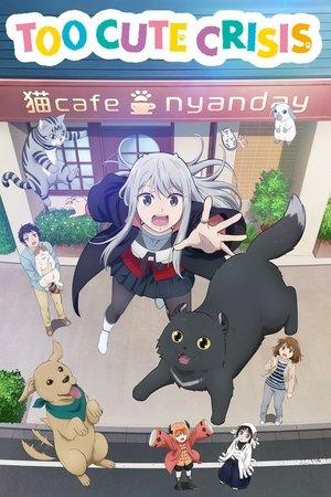 Too Cute Crisis streaming