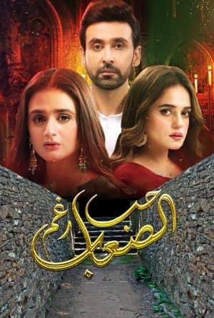 mein hari piya streaming