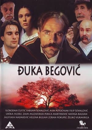 Đuka Begović streaming