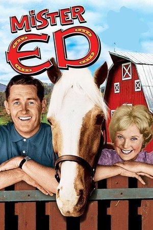 Mister Ed streaming