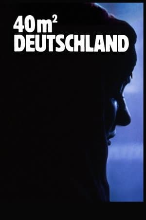40 qm Deutschland streaming