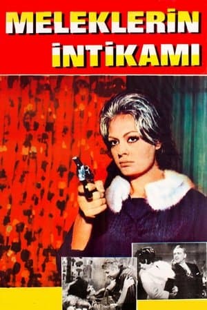 Meleklerin İntikamı streaming