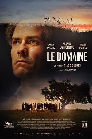 Le Domaine streaming