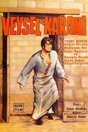Veysel Karani streaming