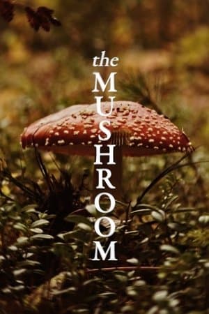 The Mushroom streaming