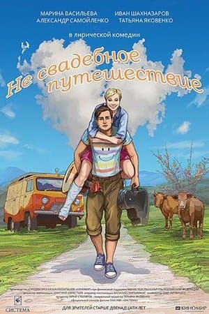 Not a Wedding Journey streaming