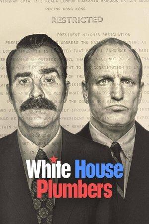 White House Plumbers streaming