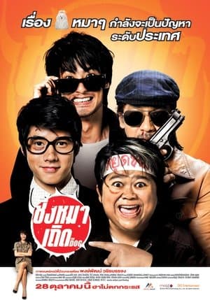 ชิงหมาเถิด streaming