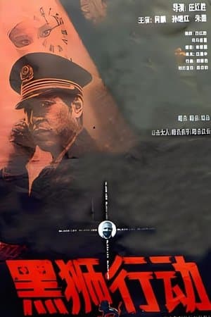 黑狮行动 streaming