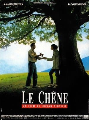 Le Chêne streaming