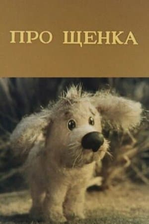Про щенка streaming