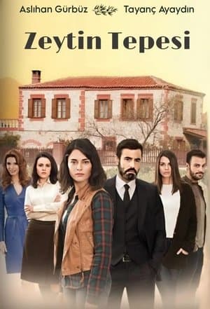 Zeytin Tepesi streaming