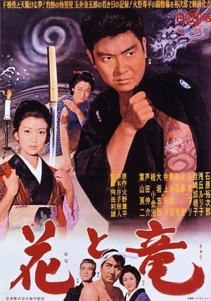 A Man With Dragon Tattoos streaming