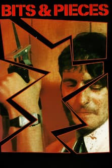 Bits and Pieces streaming