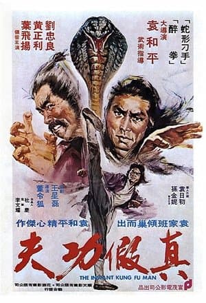 Zhen jia gong fu streaming