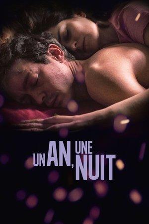 Un an, une nuit streaming