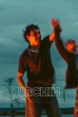 Urchin streaming