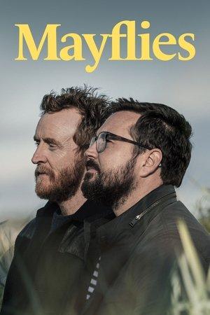 Mayflies streaming