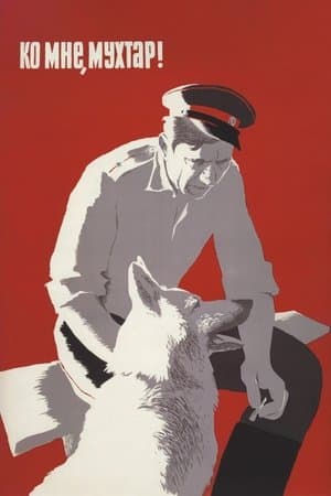 Ко мне, Мухтар! streaming