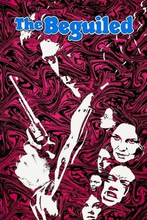 The Beguiled streaming