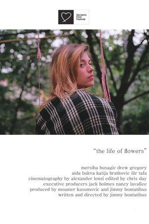 The Life of Flowers streaming