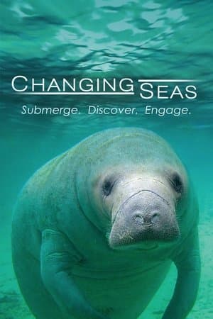 Changing Seas streaming