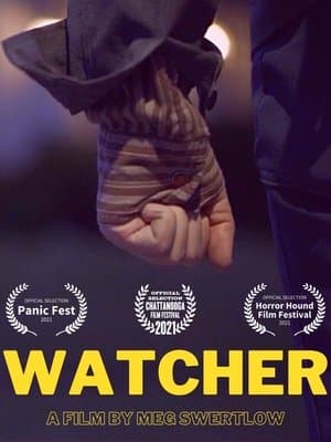 Watcher streaming