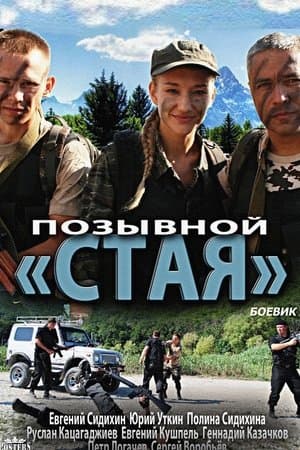 Позывной «Стая» streaming