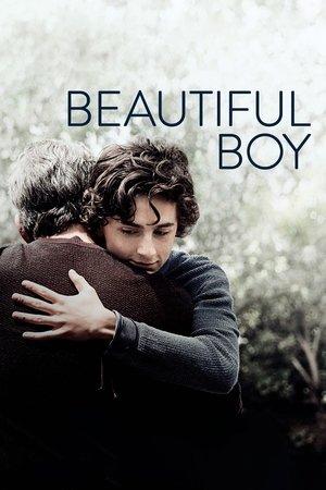 Beautiful Boy streaming