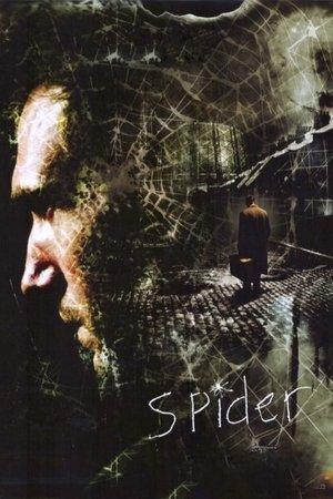 Spider streaming