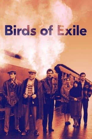 Birds of Exile streaming