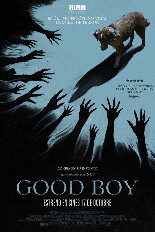 Good Boy streaming