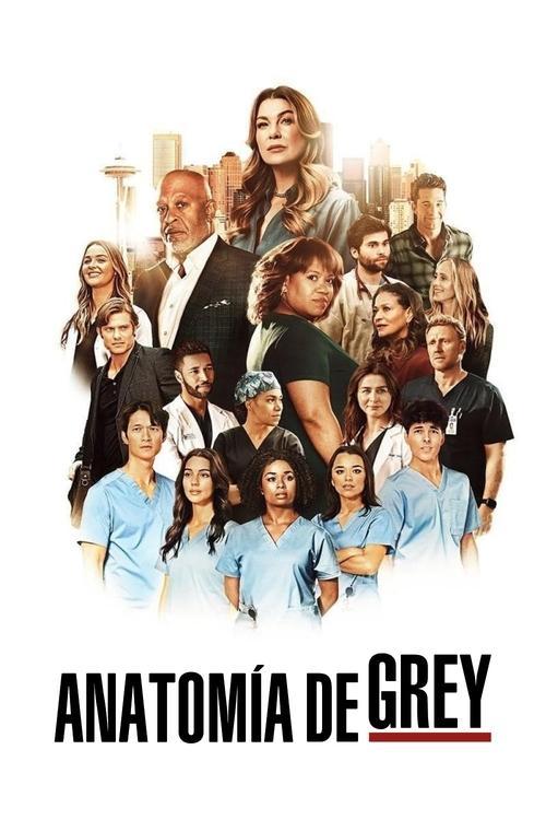 Anatomía de Grey streaming