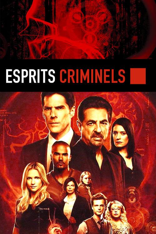 Esprits criminels streaming